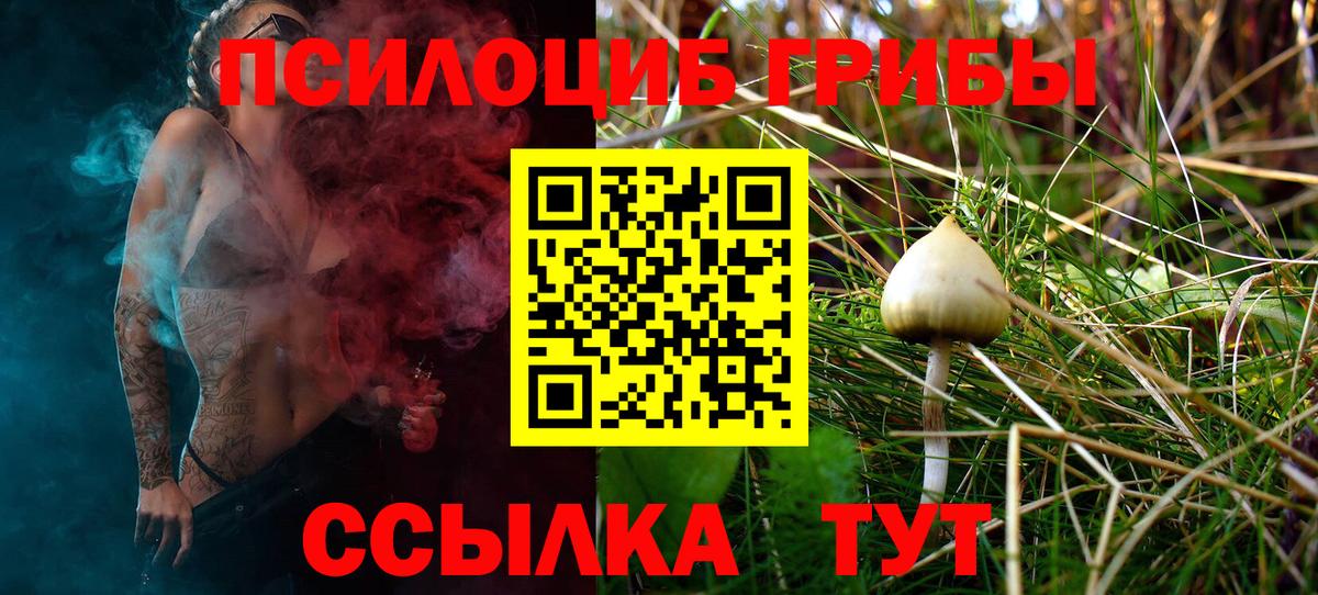 Кузнецк  Псилоцибиновые грибы ЛСД  Галлюциногенные грибы мицелий  Вход с VPN 